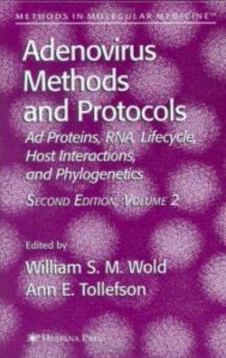 Adenovirus Methods and Protocols