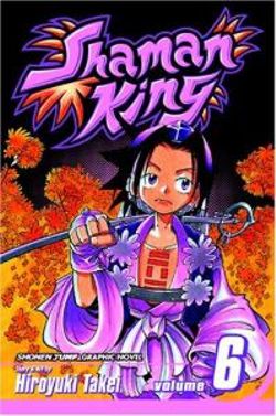 Shaman King, Vol. 6