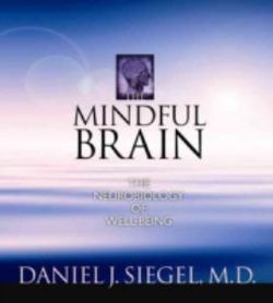 The Mindful Brain