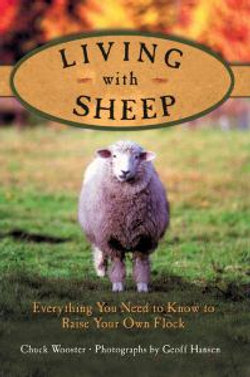 Living with Sheep