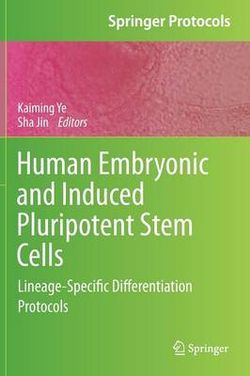 Human Embryonic and Induced Pluripotent Stem Cells