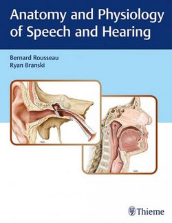 Anatomy and Physiology of Speech and Hearing