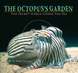 The Octopus's Garden