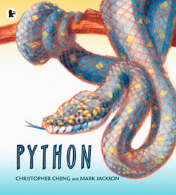 Python