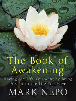 The Book of Awakening