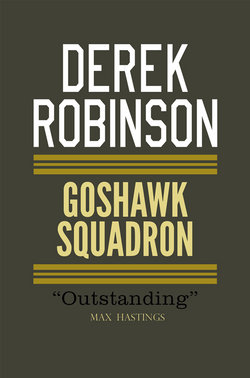 Goshawk Squadron