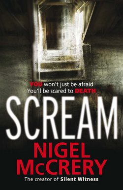 Scream: A DCI Mark Lapslie Novel 3