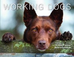 Working Dogs