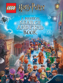 A Magical Search and Find Book