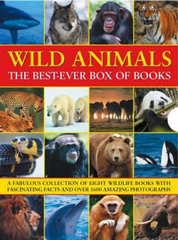 Wild Animals the Best-Ever Box of Books