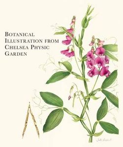 Botanical Illustration from Chelsea Physic Garden