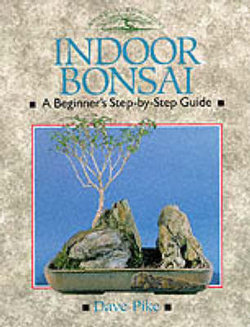 Indoor Bonsai