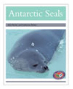 Antarctic Seals