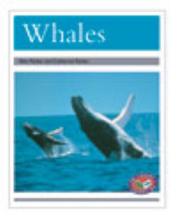 Whales