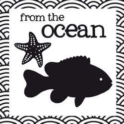 Crinkly Book of Aussie Animals: From the Ocean