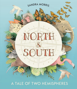 North and South