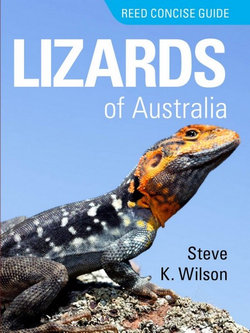 Reed Concise Guide Lizards of Australia