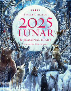 2025 Lunar and Seasonal Diary