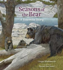 Seasons of the Bear