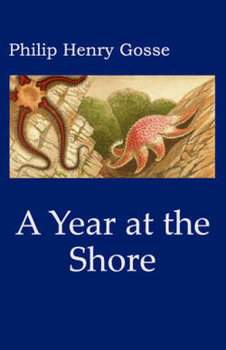 Gosse's a Year at the Shore