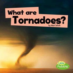 What Are Tornadoes?