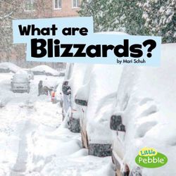 What Are Blizzards?