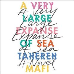 A Very Large Expanse of Sea Lib/E