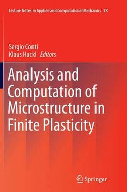 Analysis and Computation of Microstructure in Finite Plasticity