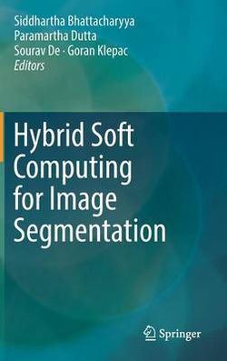 Hybrid Soft Computing for Image Segmentation