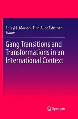 Gang Transitions and Transformations in an International Context