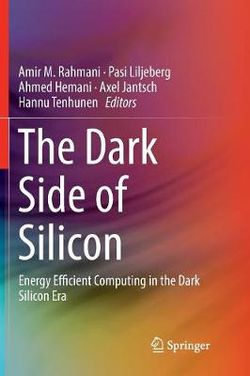 The Dark Side of Silicon