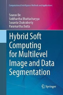 Hybrid Soft Computing for Multilevel Image and Data Segmentation