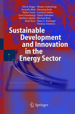 Sustainable Development and Innovation in the Energy Sector