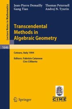 Transcendental Methods in Algebraic Geometry