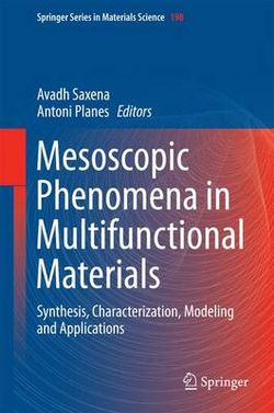 Mesoscopic Phenomena in Multifunctional Materials