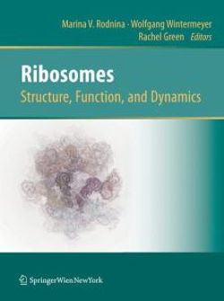 Ribosomes Structure, Function, and Dynamics