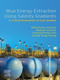 Blue Energy Extraction Using Salinity Gradients