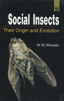 Social Insects