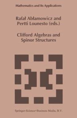 Clifford Algebras and Spinor Structures