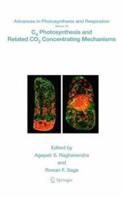 C4 Photosynthesis and Related CO2 Concentrating Mechanisms