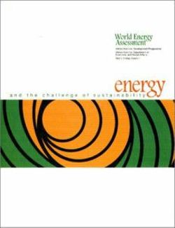 World Energy Assessment