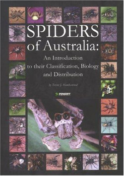 Spiders of Australia