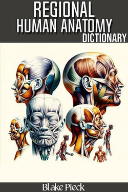 Regional Anatomy Dictionary