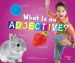 What Is an Adjective?