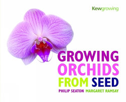 Growing Orchids from Seed