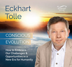 Conscious Evolution