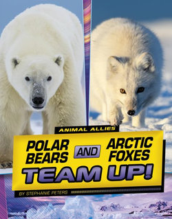 Polar Bears and Arctic Foxes Team Up!