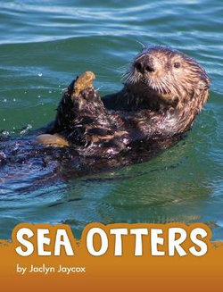 Sea Otters