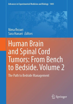 Human Brain and Spinal Cord Tumors: From Bench to Bedside. Volume 2