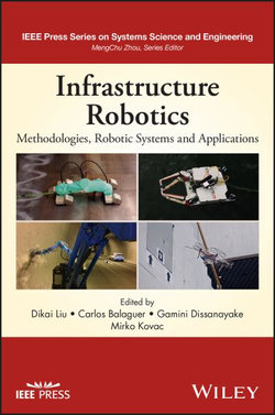 Infrastructure Robotics